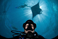   Shooting self portrait while diving snorkeling feeding manta rays Hanifaru Bay. majestic corner world but definitely need regulation human interaction this revealing silhouette shows. Bay shows  